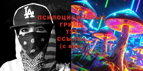 дурь Протвино