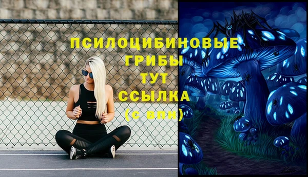 дурь Протвино