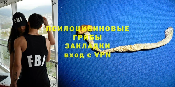 дурь Протвино