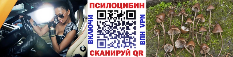 Галлюциногенные грибы MAGIC MUSHROOMS Агрыз